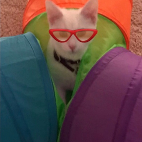 Meet your Posher, Barbara - Picture 1 of 1